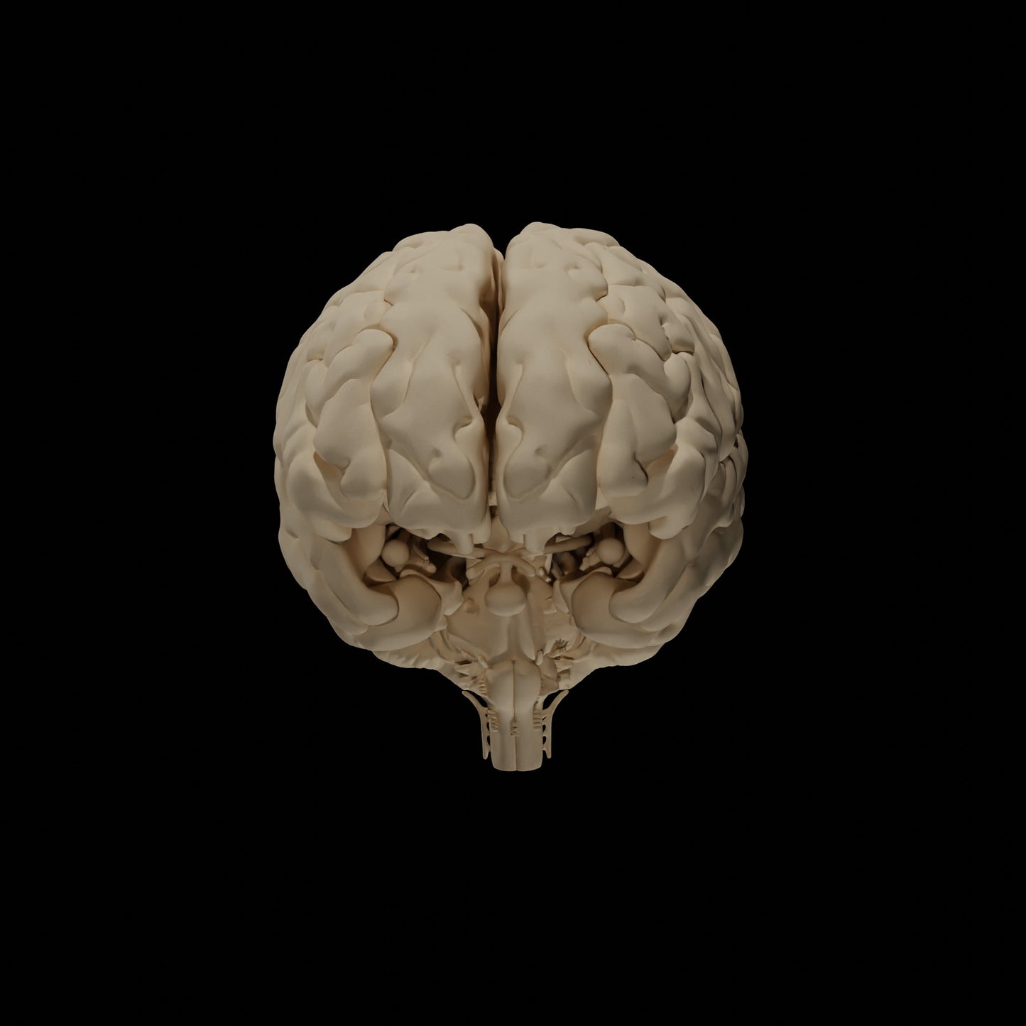 Cerveau Humain Eduprint