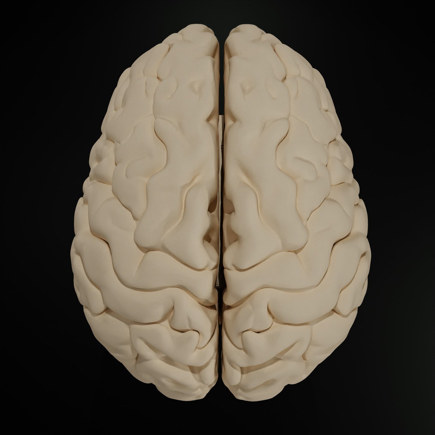Cerveau Humain Eduprint